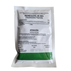 BENESANZ 40 WG