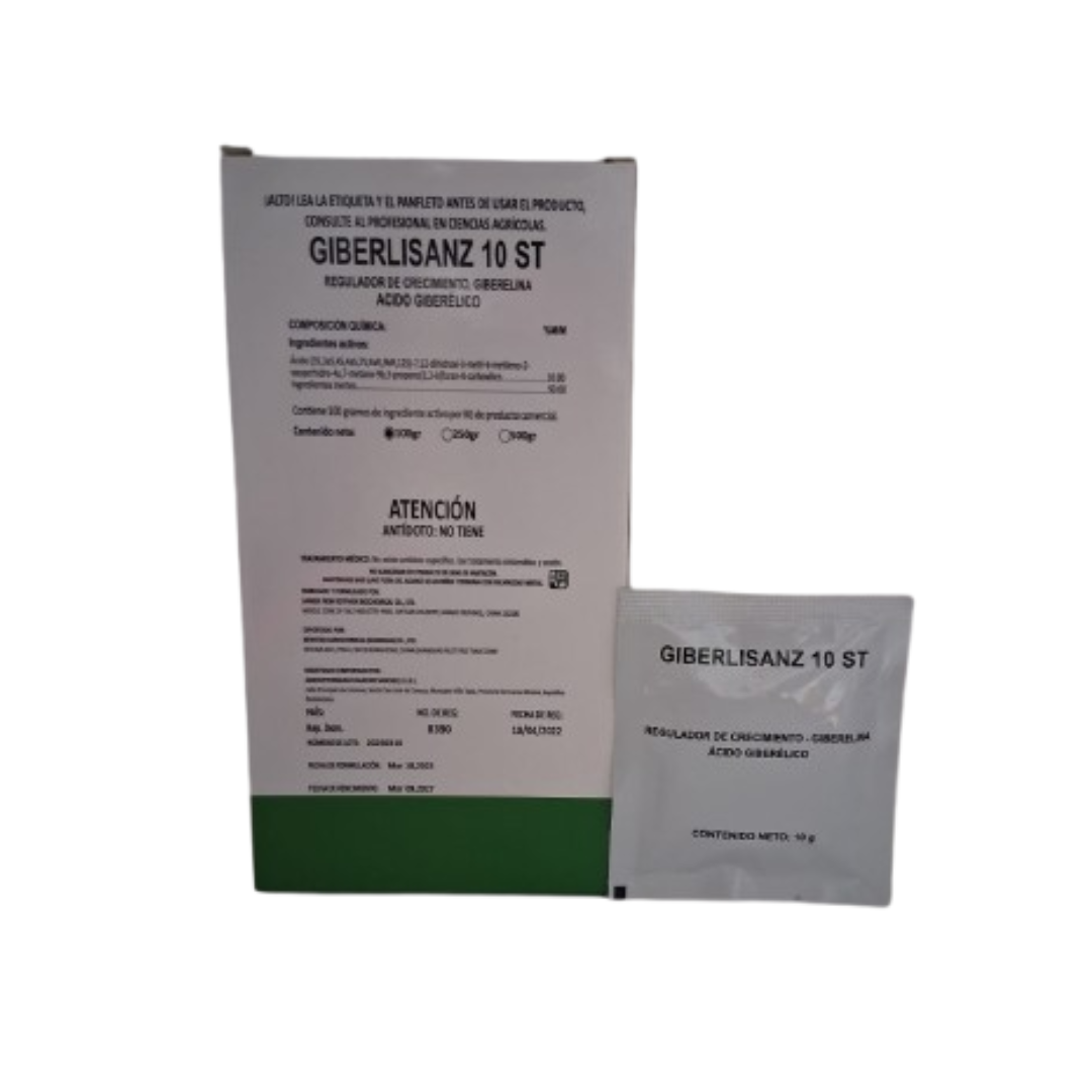 GIBERLISANZ 10 ST